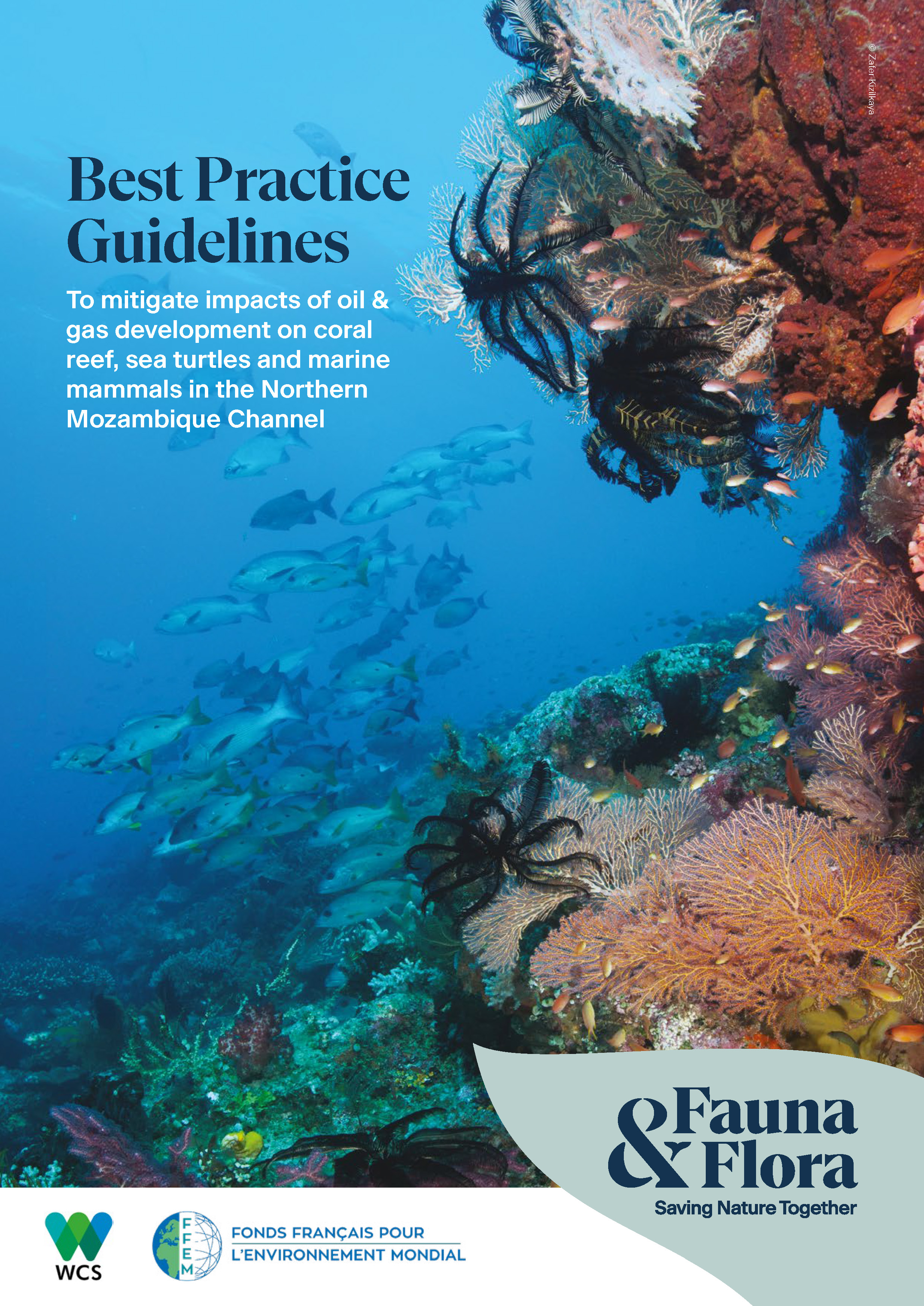 NoCaMo Best Practice Guidelines EN