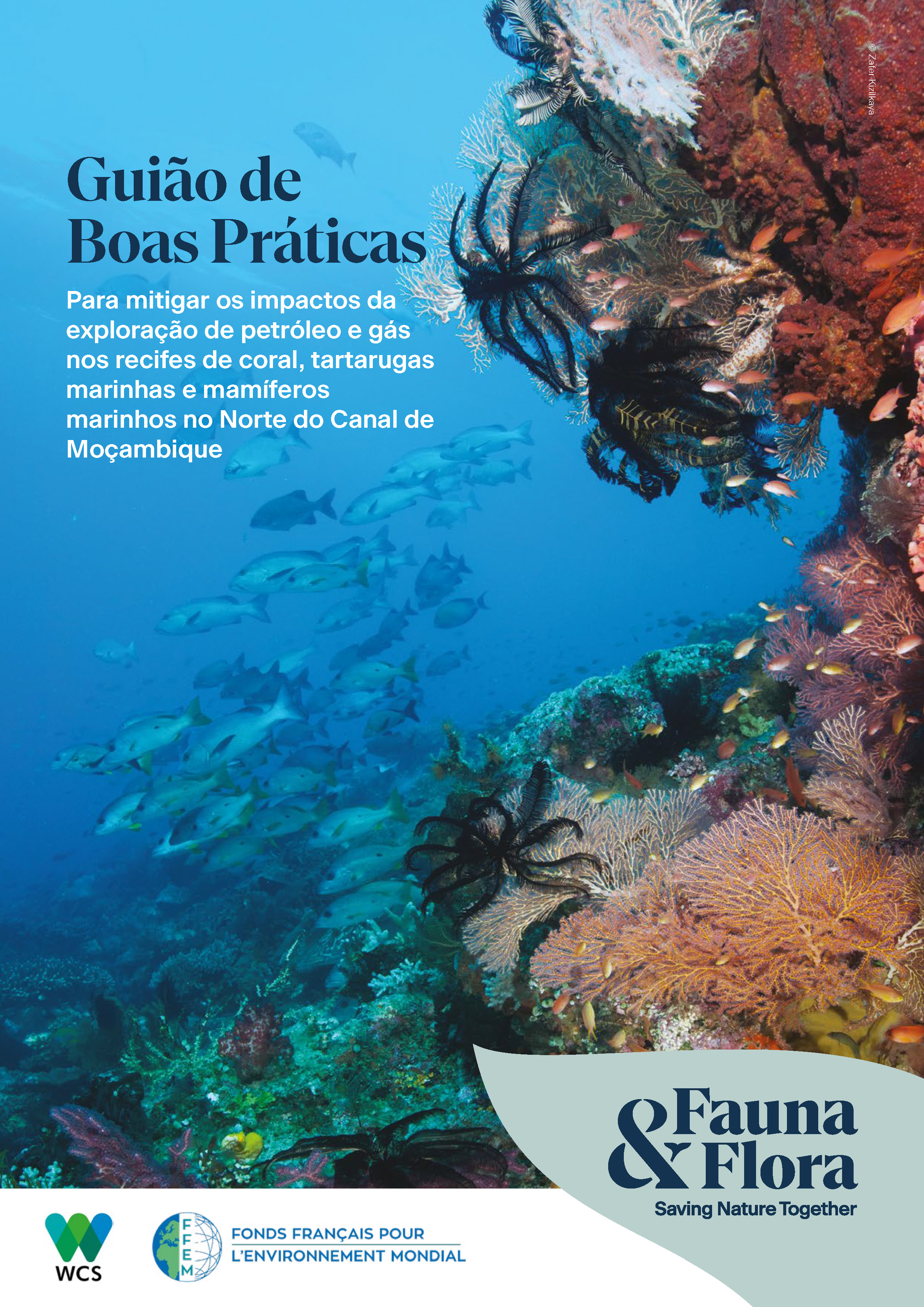 Guião de Boas Práticas